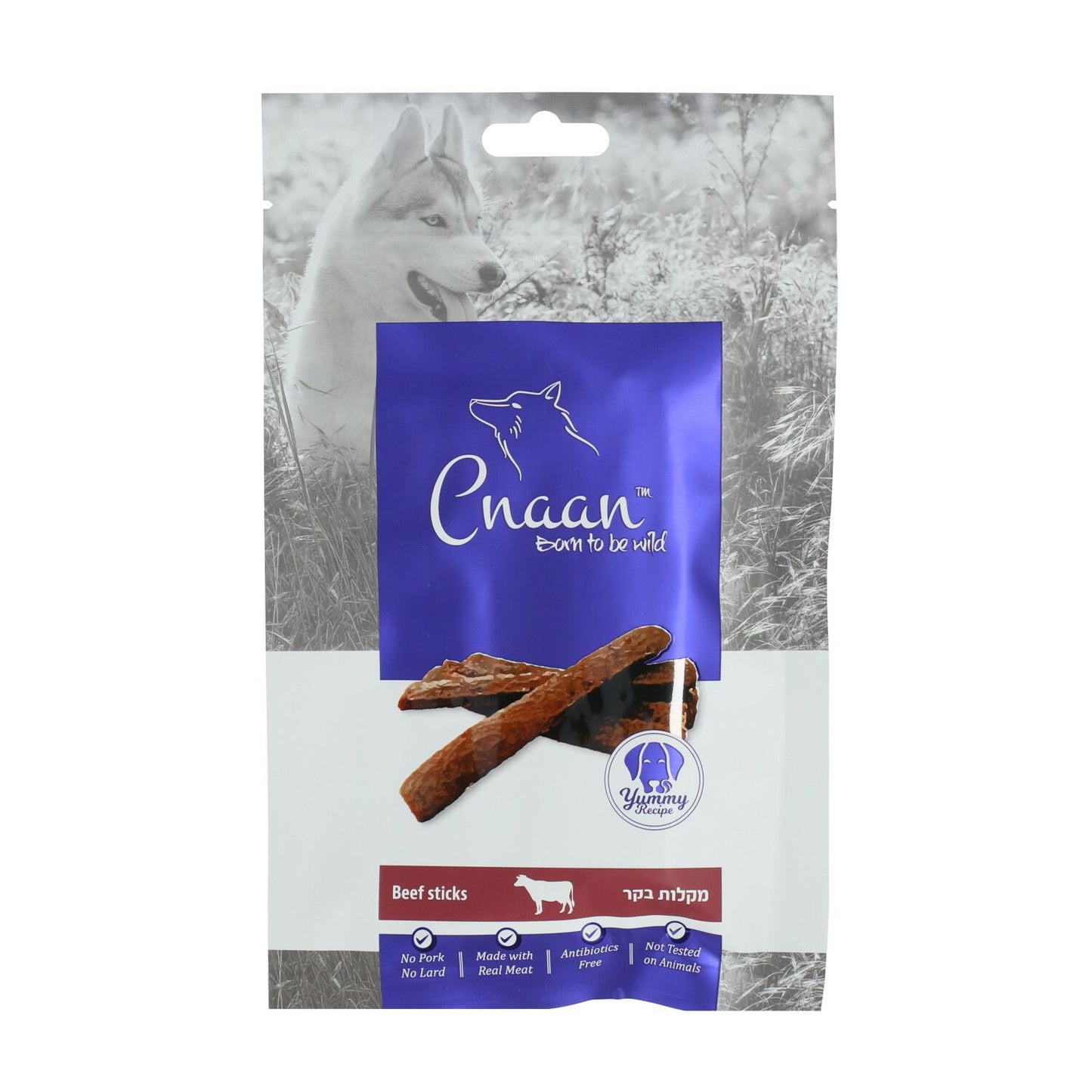 š¶ ×× ×¢× ā ××××£ ××§×××Ŗ ×קר ר××× ×××××× 100 ××Ø× | עש×ר ×××¢× ×××ש×× ××××××£
