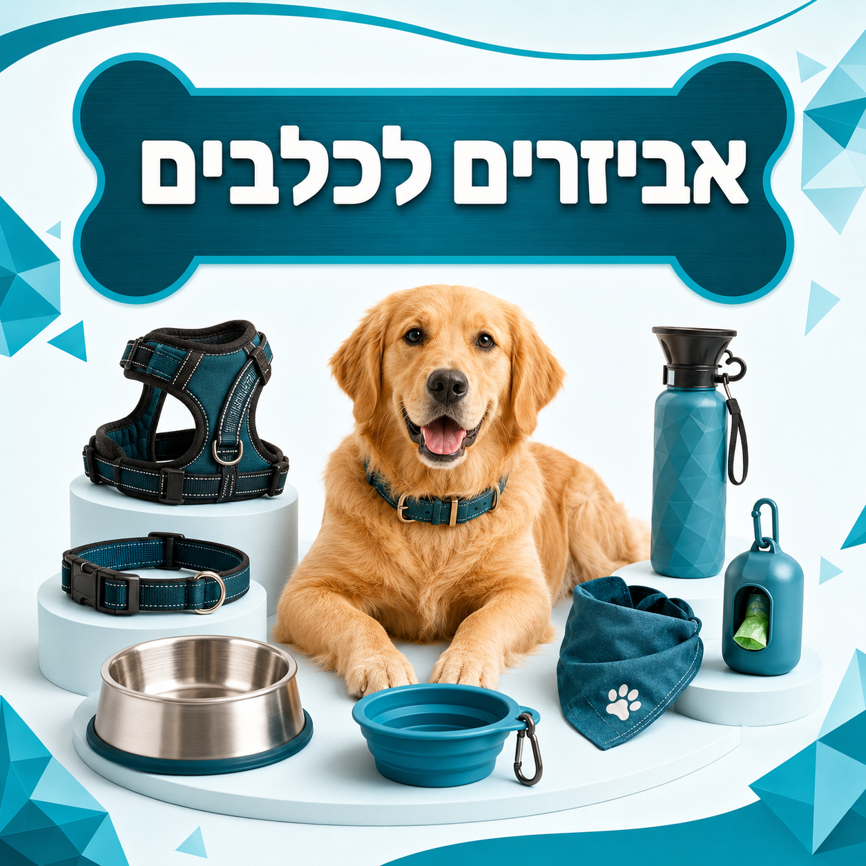 אביזרים לכלבים