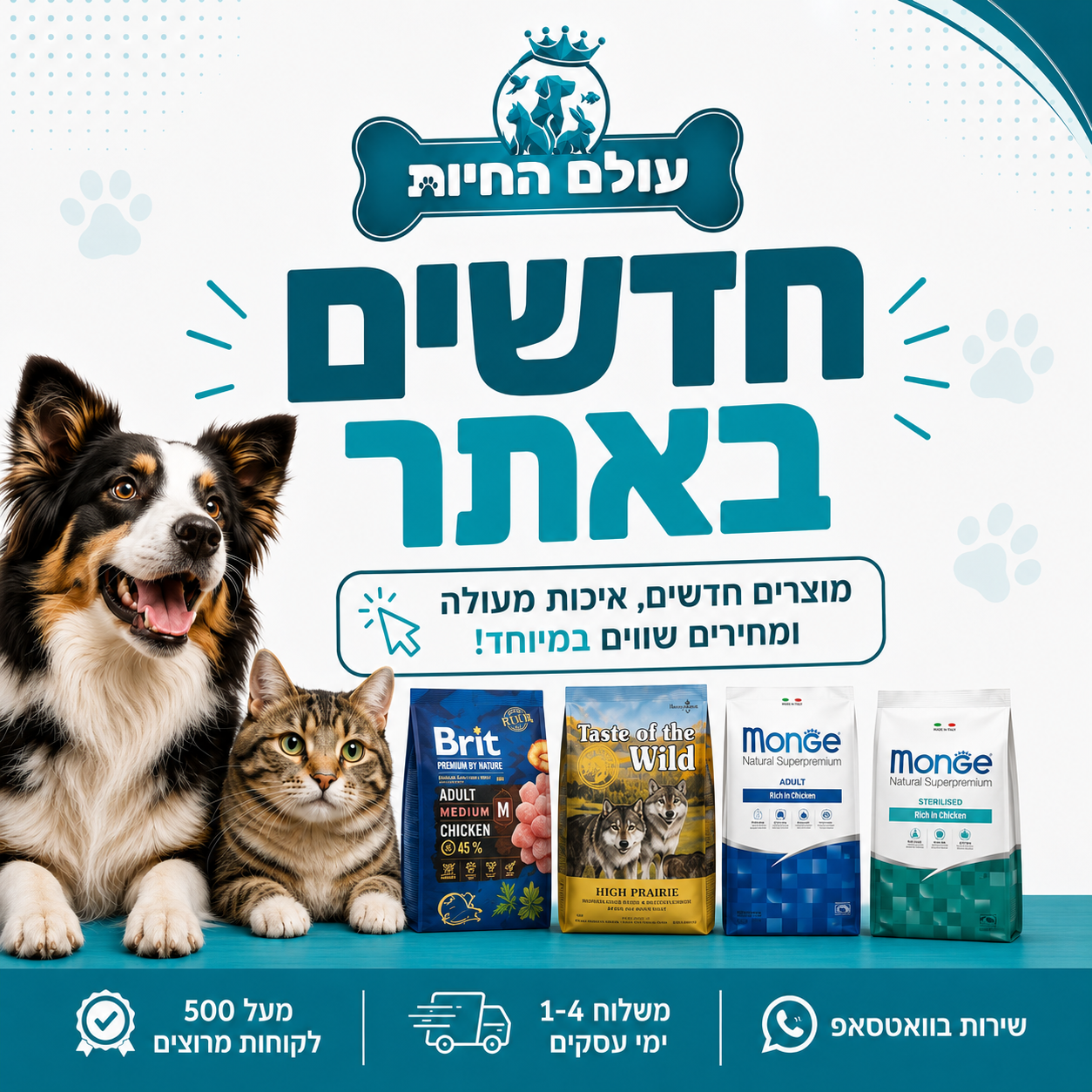 חדשים באתר!
